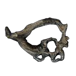 Twig Spirit Shield