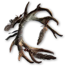 Staghorn Focus